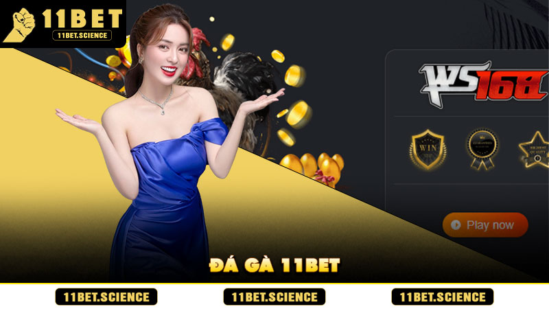 Đá gà 11BET